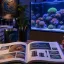 Manual Completo para se ter um aquário marinho da Reef da RR Ocean Reef: tudo o que ensinamos em mais de trinta guias reunido em uma única página